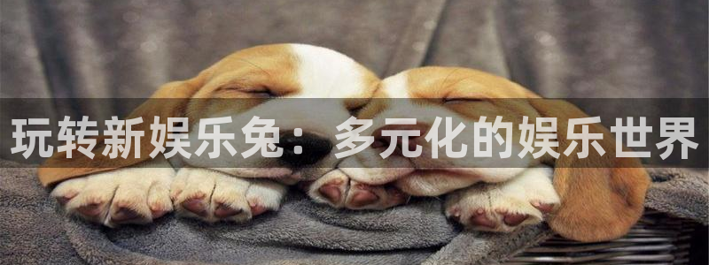 盛煌平台下载