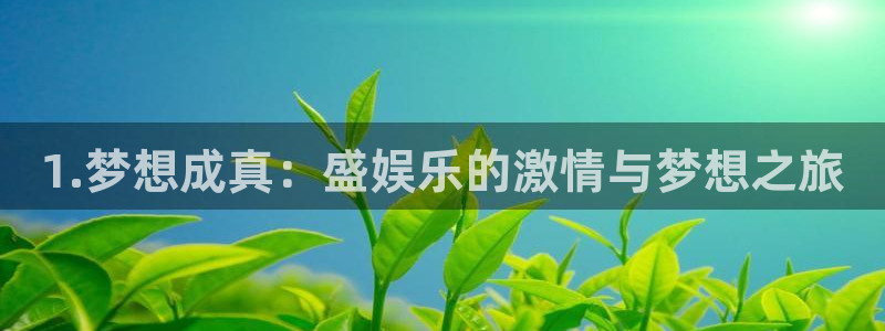 盛煌平台,apk