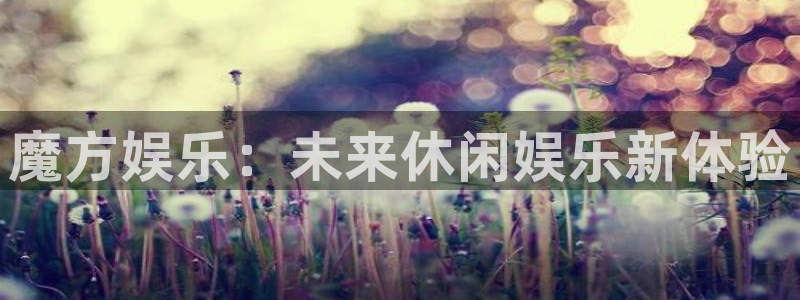 盛煌平台平台注册账号