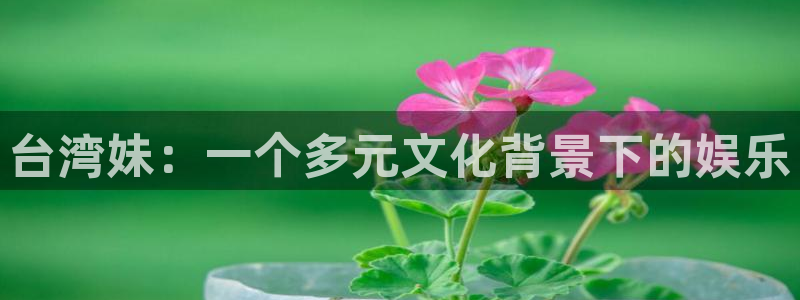 壹号电子娱乐app