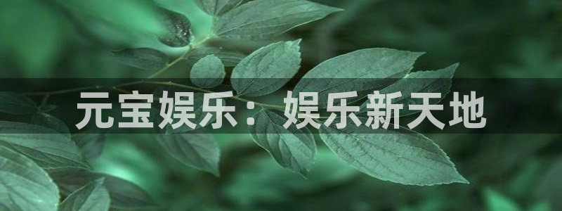 盛煌平台免费注册：元宝娱乐：娱乐新天地