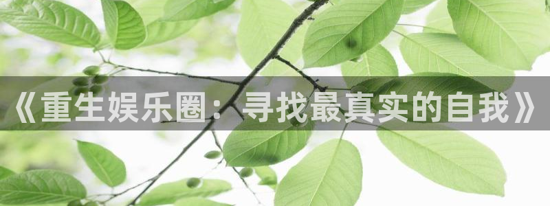 盛煌平台.ccm苹果版：《重生娱乐圈：寻找最真实的自我》